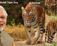 International Tiger Day : वाइल्डलाइफ प्रेमियों को पीएम मोदी ने दी बधाई