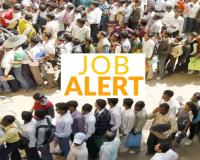 कोल इंडिया जॉब: 1050 पदों पर सीधी भर्ती, सिर्फ 11 दिन शेष... जल्दी करें आवेदन