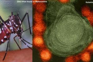 महाराष्ट्र में मिला जीका वायरस का पहला मामला
