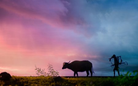 23 December,  किसान दिवस: सम्मान, संघर्ष और उम्मीद।