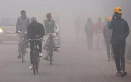 बिहार में शीतलहर और घने कोहरे का कहर, सामान्य जनजीवन अस्त-व्यस्त