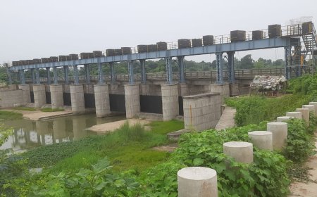 नए साल में किसानों के लिए खुशखबरी, मलई बराज से सिंचाई की जगी आस