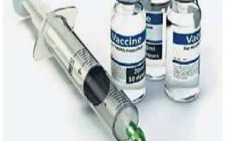 भारत में नकली रैबीज टीकों पर ऑस्ट्रेलिया की चेतावनी, मरीजों को दोबारा खुराक लेने की सलाह