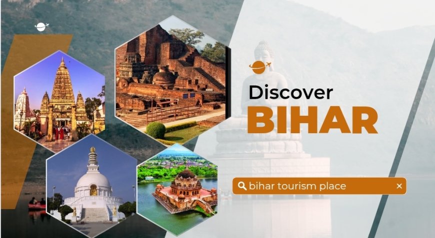 Bihar's Top 10 Must-Visit Wonders: From Ancient Ruins to Thrilling Safaris