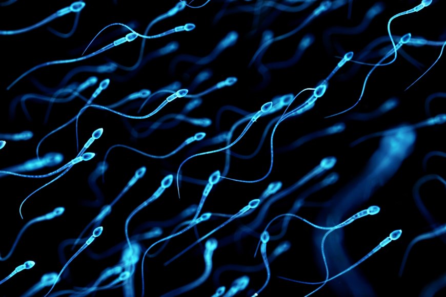 रोजाना 5 लहसुन की कलियां बढ़ा सकती हैं स्पर्म काउंट, एक्सपर्ट की सलाह