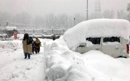 कश्मीर में नए साल पर बर्फबारी से पर्यटन में ख़ुशी की लहर