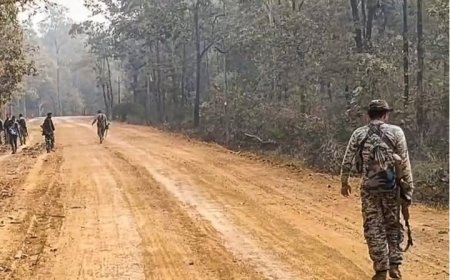 छत्तीसगढ़ के बीजापुर में सुरक्षा बलों की बड़ी कार्रवाई, मुठभेड़ में 14 नक्सली ढेर