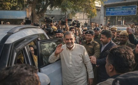 दिल्ली दंगों के मामले में सलिम ख़ान तिहाड़ जेल से रिहा, सुप्रीम कोर्ट से मिली ज़मानत