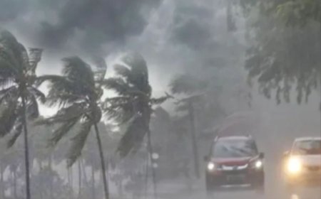 मौसम की स्थिति: उत्तर में ठंड और कोहरा, दक्षिण में बारिश की संभावना