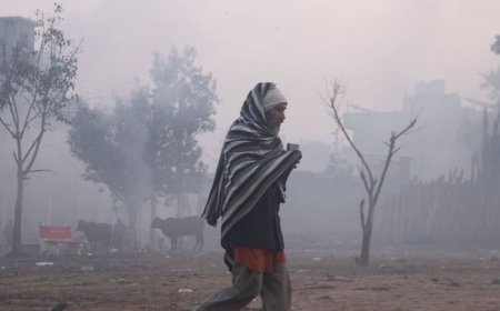 घने कोहरे और ठंड ने बढ़ाई परेशानी, पंजाब में 21 जनवरी तक अलर्ट