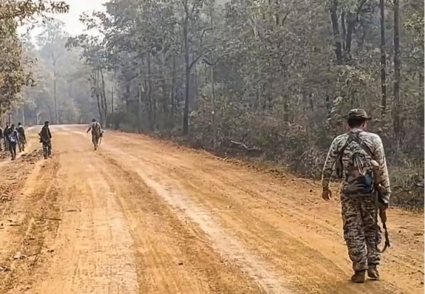 छत्तीसगढ़ के बीजापुर में सुरक्षा बलों की बड़ी कार्रवाई, मुठभेड़ में 14 नक्सली ढेर