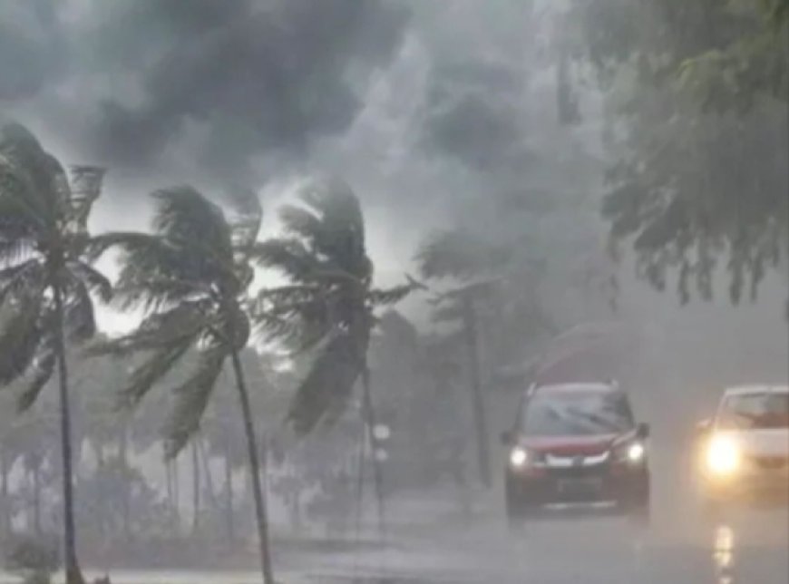 मौसम की स्थिति: उत्तर में ठंड और कोहरा, दक्षिण में बारिश की संभावना