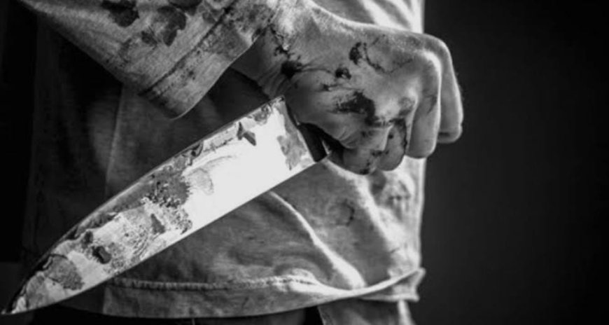 मुंबई लोकल ट्रेन में प्रोफेसर की चाकू मारकर हत्या, CCTV में कैद हुई पूरी वारदात