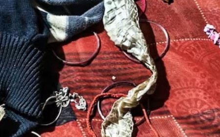 नागिन बनने की अफवाह फैलाकर प्रेमी के साथ फरार हुई युवती, पुलिस जांच में खुला राज