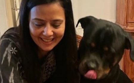 कुत्ते हेनरी की कस्टडी को लेकर हाईकोर्ट पहुंचीं महुआ मोइत्रा