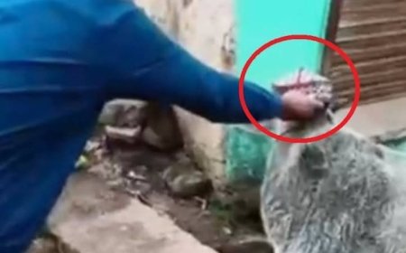 गुना में गाय को टोपी पहनाने का मामला, दो नाबालिगों पर FIR दर्ज