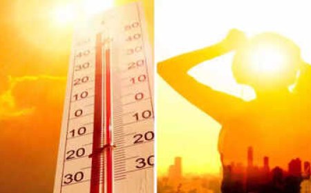 2001 के बाद सबसे सूखी फरवरी, मार्च–मई में बढ़ेगी गर्मी और लू का खतरा: भारतीय मौसम विज्ञान विभाग