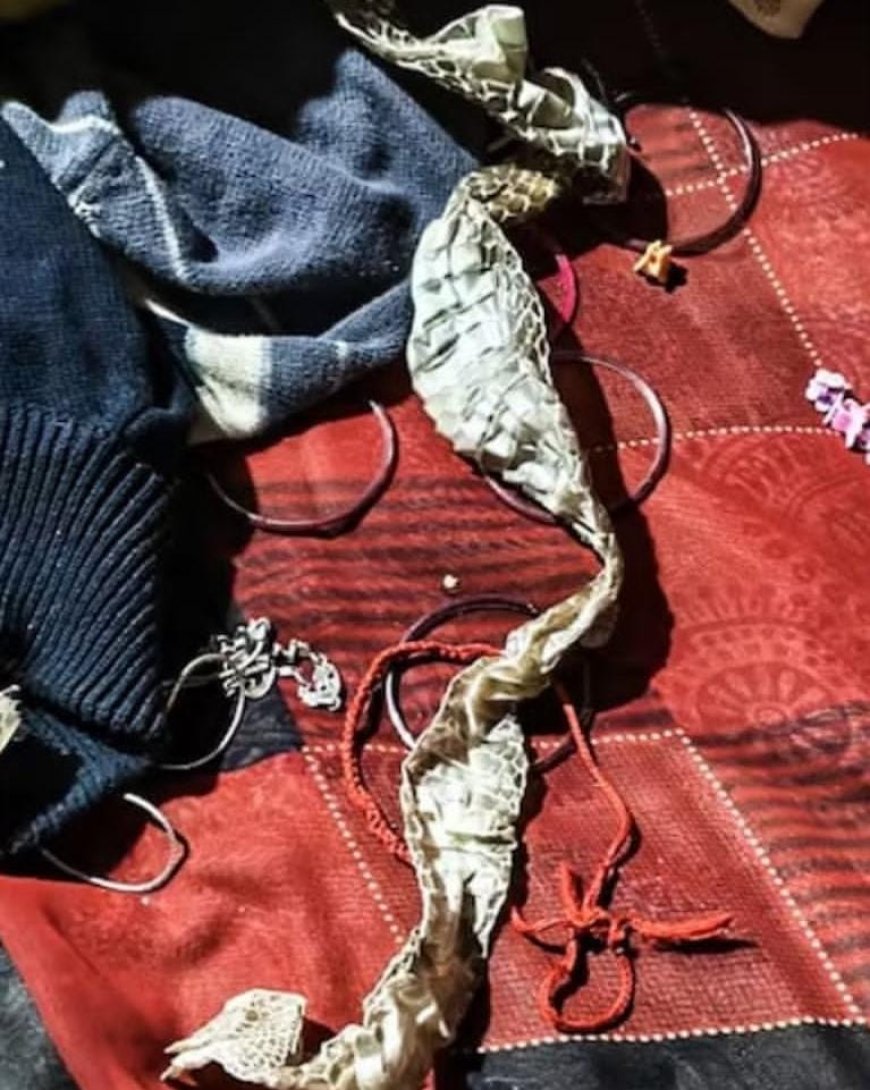 नागिन बनने की अफवाह फैलाकर प्रेमी के साथ फरार हुई युवती, पुलिस जांच में खुला राज