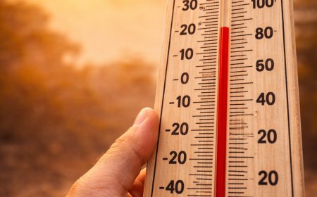 गर्मी को लेकर IMD का बड़ा अलर्ट, कई राज्यों में लू का खतरा