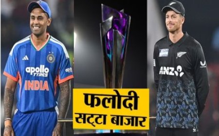 वर्ल्ड कप फाइनल को लेकर क्या कह रहा फलोदी सट्टा बाजार? भारत–न्यूजीलैंड में किसका पलड़ा भारी