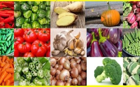 रोज खाने वाली सब्जियों को लेकर आई चौंकाने वाली रिपोर्ट, जानकर रह जाएंगे हैरान