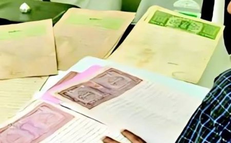 राजस्व दफ्तरों में दलाली पर सख्ती, बिचौलियों पर होगी FIR, शिकायत के लिए टोल-फ्री नंबर जारी