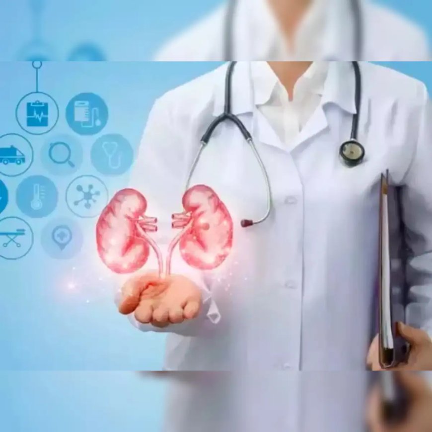 किडनी को कैसे रखें सुरक्षित: डॉक्टर्स बताते हैं बीमारी से बचाव के आसान तरीके