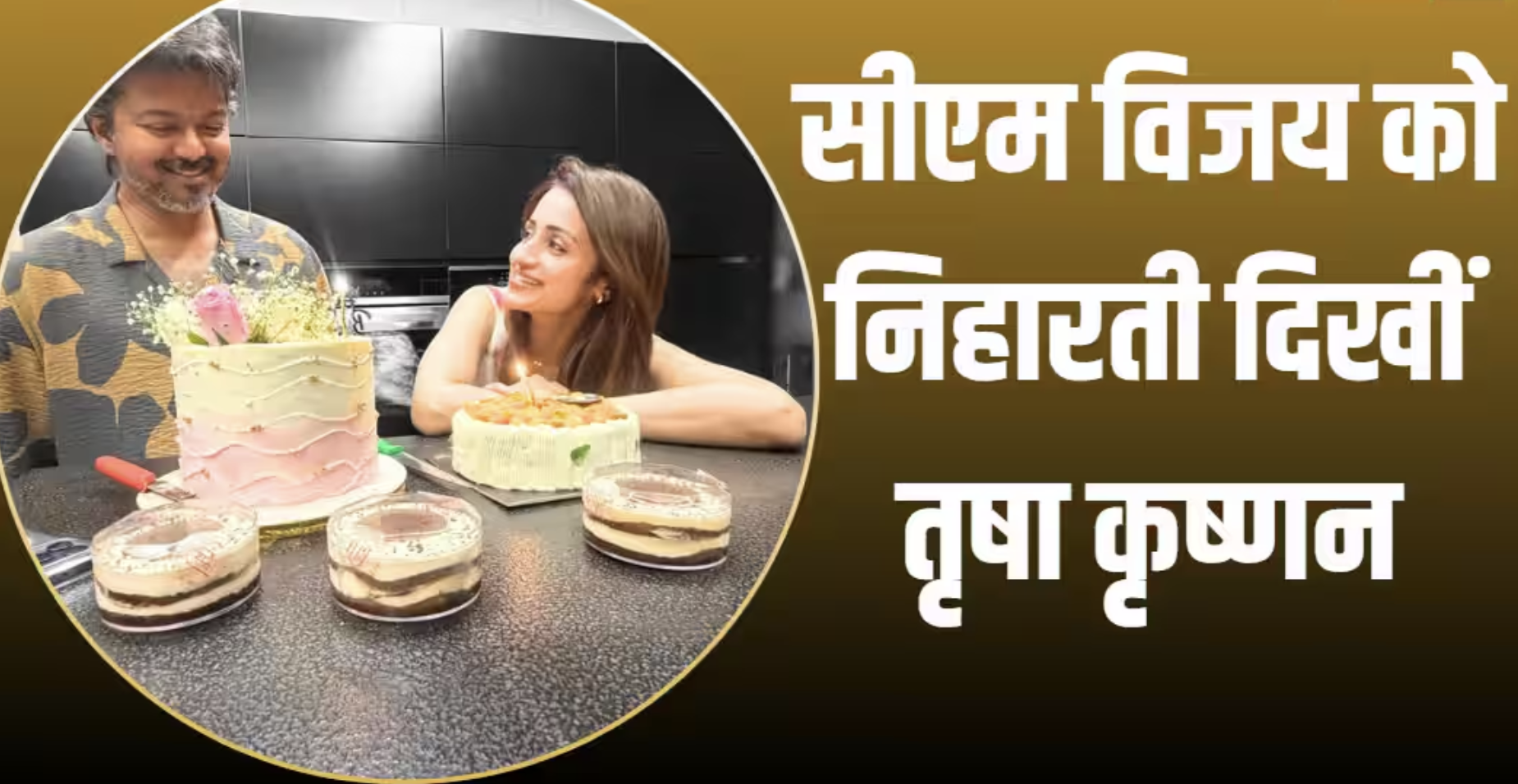 सीएम विजय को निहारती दिखीं तृषा कृष्णन  Source : Trisha Krishnan instagram