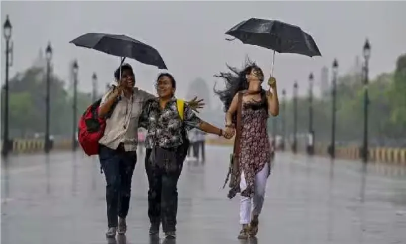 दिल्ली-एनसीआर में बारिश और मॉनसून को लेकर IMD का ताजा मौसम अपडेट। | Source: Social media