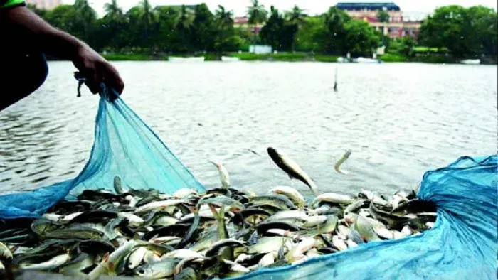Bihar fisheries recruitment Bihar fisheries recruitment