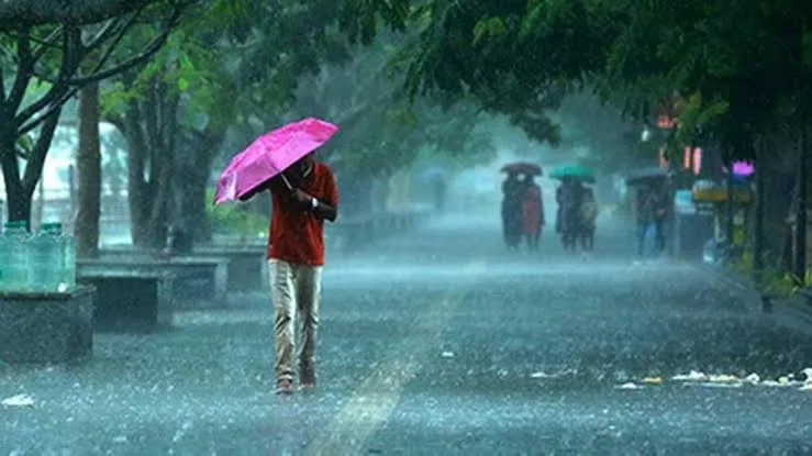 झारखंड में बारिश और वज्रपात का कहर झारखंड में बारिश और वज्रपात का कहर
