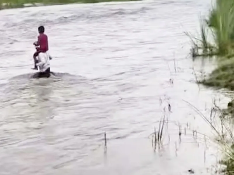 उफनती मसान नदी में बेटे को कंधे पर बैठाकर स्कूल पहुंचाने के लिए नदी पार करता पिता, बगहा का भावुक दृश्य | Source: rtr