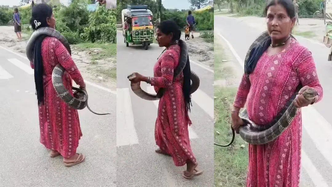सांप को बदन पर लपेटकर सड़क पर घूमती जानकी देवी | Source: Abp News