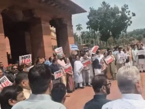 संसद के मकर द्वार पर प्रदर्शन करते NDA और INDIA गठबंधन के सांसद। | Source: Chrome