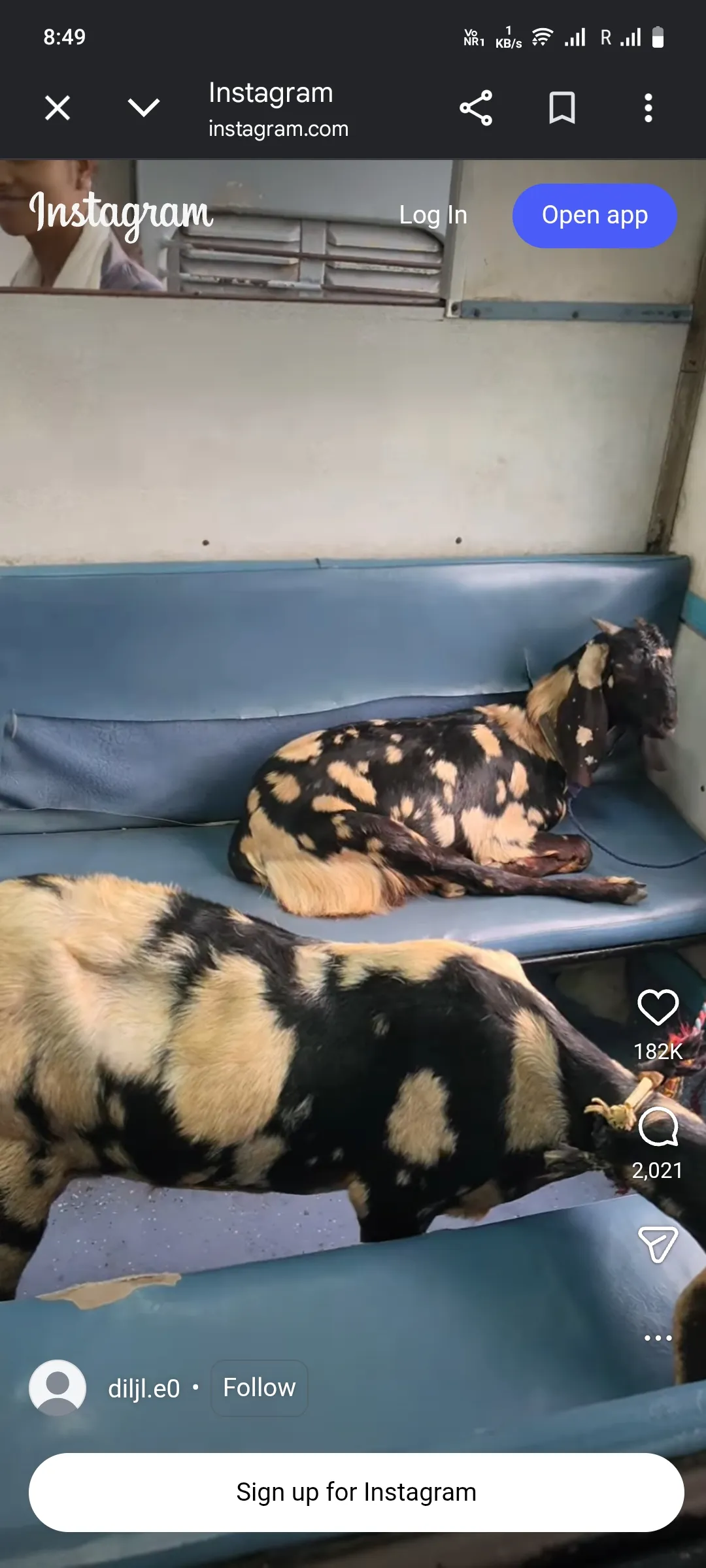 Viral Train Video, Goat in Train, Buffalo on Platform,