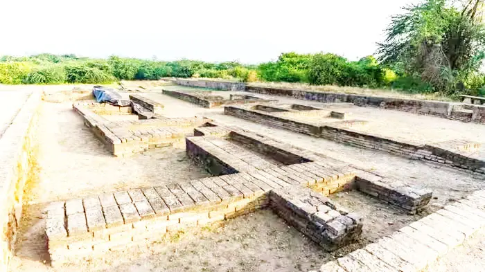 4500 साल पहले यहां आते थे जहाज, फिर अचानक गायब हो गया पूरा शहर! लोथल की कहानी आज भी इतिहास के सबसे बड़े रहस्यों में शामिल